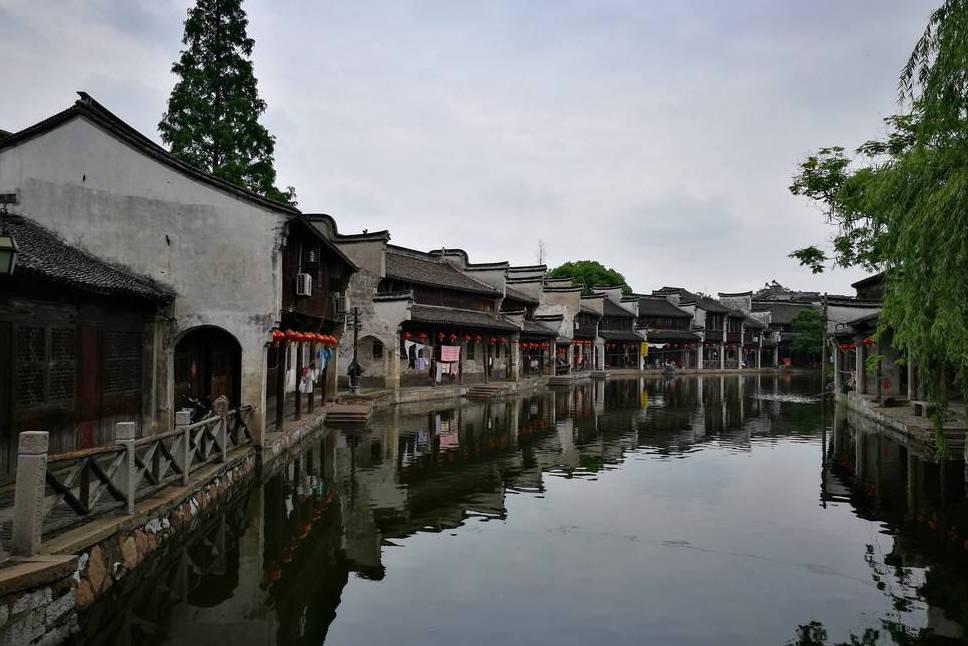 寻找迷路的松鼠